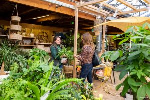 shooting photo femme ; shooting photo savoie ; shooting photo chambery ; shooting photo chambéry ; shooting photo ; shooting photo aix les bains ; shooting photo la ravoire ; seance photo ; shooting portrait ; shooting portrait savoie ; seance portrait savoie ; shooting portrait chambery ; seance portrait chambery ; shooting portrait chambéry ; shooting portrait chambéry ; photosavoie ; photo savoie ; photographe chambery ; photographe savoie ; studio photo ; portrait ; photo corporate ; photographe corporate ; shooting corporate ; photo cv ; photographe cv ; lingerie ; seance lingerie ; shooting lingerie ; boudoir ; glamour ; seance glamour ; shooting glamour ; shooting lingerie chambery ; shooting lingerie chambéry ; bon cadeau shooting photo chambery ; bon cadeau shooting photo savoie ; photo grossesse; photo grossesse chambery ; photo grossesse savoie ; shooting grossesse; shooting grossesse chambery ; shooting grossesse savoie ; grossesse