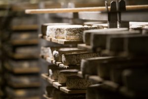 shooting photo femme ; shooting photo savoie ; shooting photo chambery ; shooting photo chambéry ; shooting photo ; shooting photo aix les bains ; shooting photo la ravoire ; seance photo ; shooting portrait ; shooting portrait savoie ; seance portrait savoie ; shooting portrait chambery ; seance portrait chambery ; shooting portrait chambéry ; shooting portrait chambéry ; photosavoie ; photo savoie ; photographe chambery ; photographe savoie ; studio photo ; portrait ; photo corporate ; photographe corporate ; shooting corporate ; photo cv ; photographe cv ; lingerie ; seance lingerie ; shooting lingerie ; boudoir ; glamour ; seance glamour ; shooting glamour ; shooting lingerie chambery ; shooting lingerie chambéry ; bon cadeau shooting photo chambery ; bon cadeau shooting photo savoie ; photo grossesse; photo grossesse chambery ; photo grossesse savoie ; shooting grossesse; shooting grossesse chambery ; shooting grossesse savoie ; grossesse